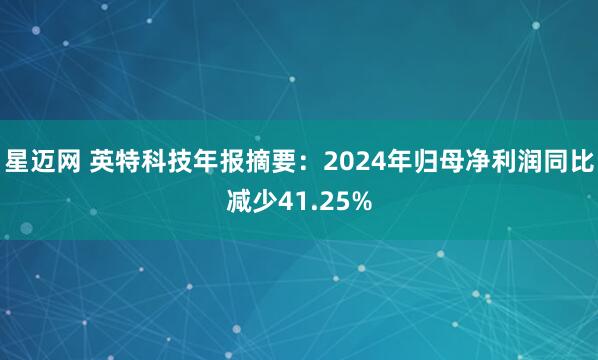 星迈网 英特科技年报摘要:2024年归母净利润同比减少41.25%