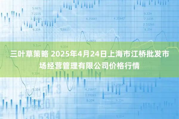 三叶草策略 2025年4月24日上海市江桥批发市场经营管理有限公司价格行情